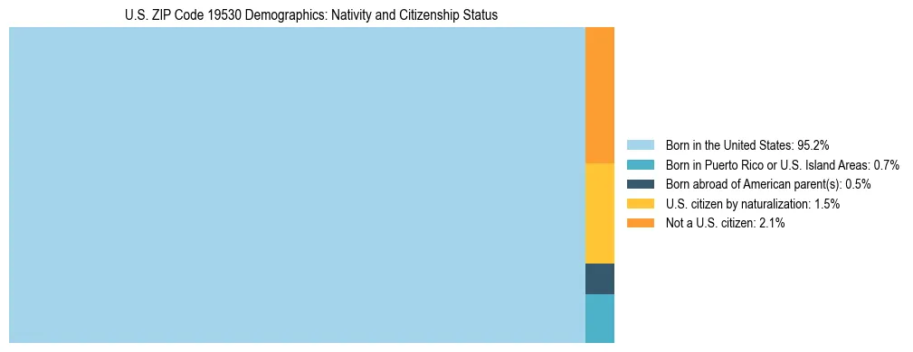 Treemap showing the population distribution by nativity and citizenship status in US ZIP Code 19530 based on U.S. Census data.