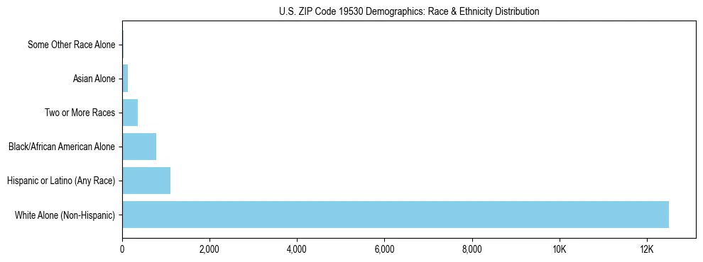 Race and Ethnicity Distribution Chart for US ZIP Code 19530