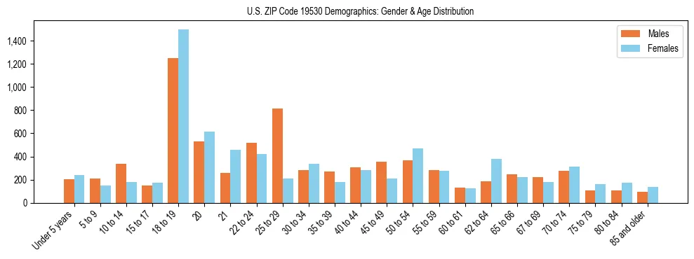 Bar chart showing the population distribution of US ZIP Code 19530 by age group and gender, based on 2023 ACS data.