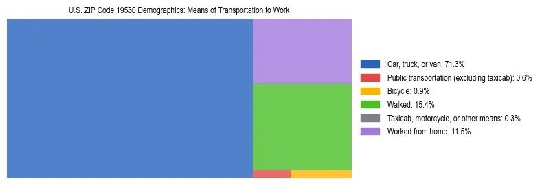 Treemap showing means of transportation to work distribution in US ZIP Code 19530.