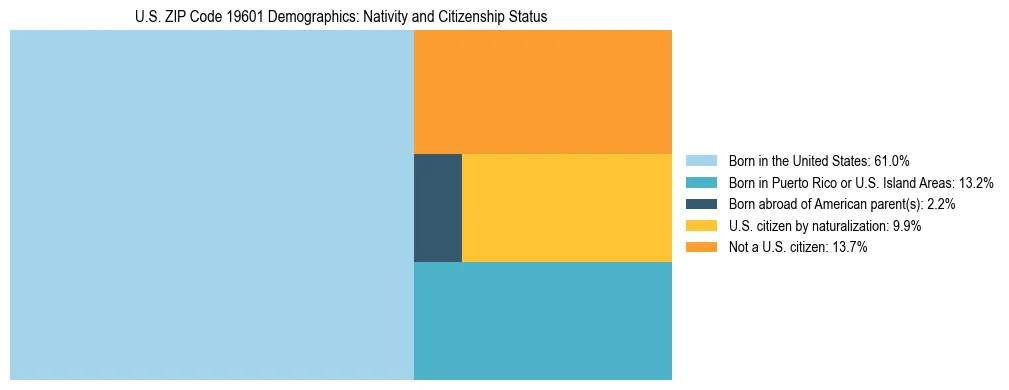 Treemap showing the population distribution by nativity and citizenship status in US ZIP Code 19601 based on U.S. Census data.