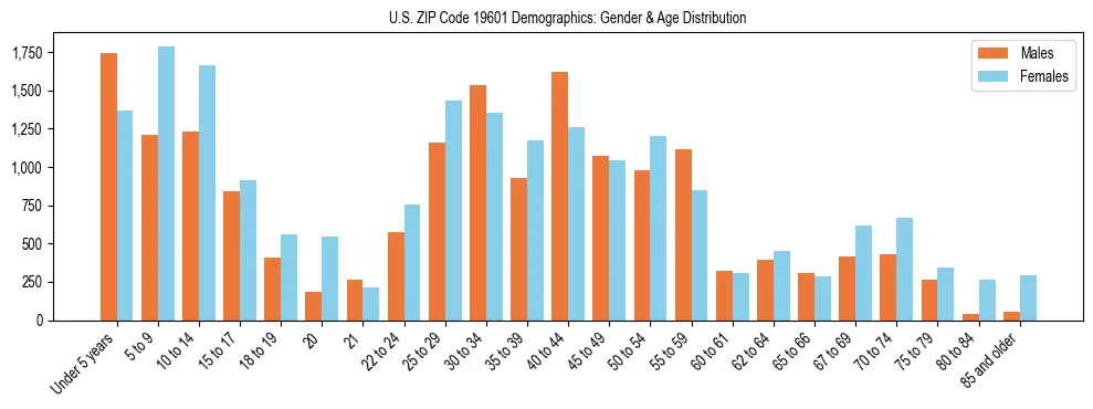 Bar chart showing the population distribution of US ZIP Code 19601 by age group and gender, based on 2023 ACS data.