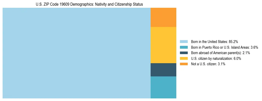 Treemap showing the population distribution by nativity and citizenship status in US ZIP Code 19609 based on U.S. Census data.