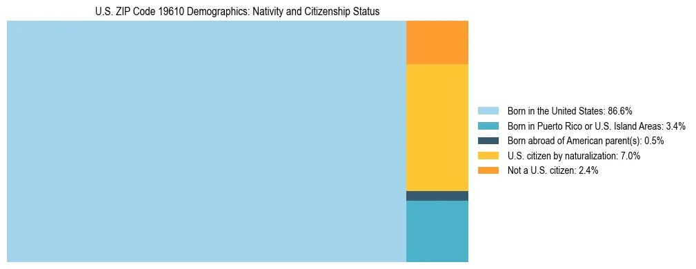 Treemap showing the population distribution by nativity and citizenship status in US ZIP Code 19610 based on U.S. Census data.