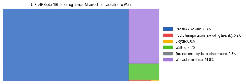 Treemap showing means of transportation to work distribution in US ZIP Code 19610.