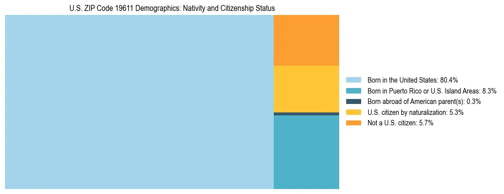 Treemap showing the population distribution by nativity and citizenship status in US ZIP Code 19611 based on U.S. Census data.