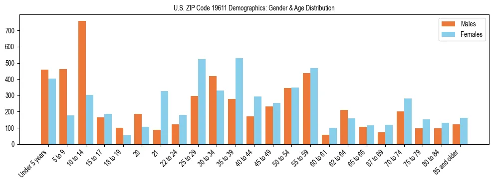Bar chart showing the population distribution of US ZIP Code 19611 by age group and gender, based on 2023 ACS data.
