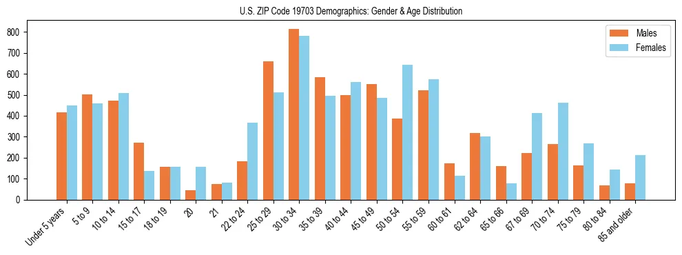 Bar chart showing the population distribution of US ZIP Code 19703 by age group and gender, based on 2023 ACS data.