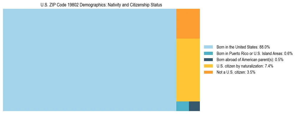 Treemap showing the population distribution by nativity and citizenship status in US ZIP Code 19802 based on U.S. Census data.
