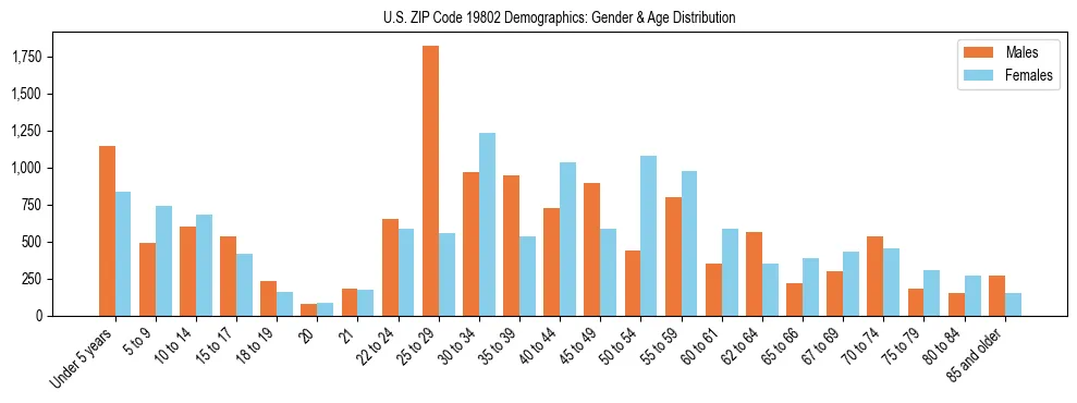 Bar chart showing the population distribution of US ZIP Code 19802 by age group and gender, based on 2023 ACS data.