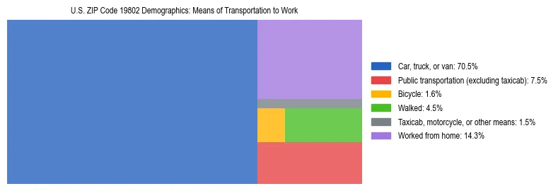 Treemap showing means of transportation to work distribution in US ZIP Code 19802.