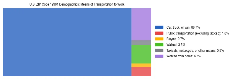 Treemap showing means of transportation to work distribution in US ZIP Code 19901.