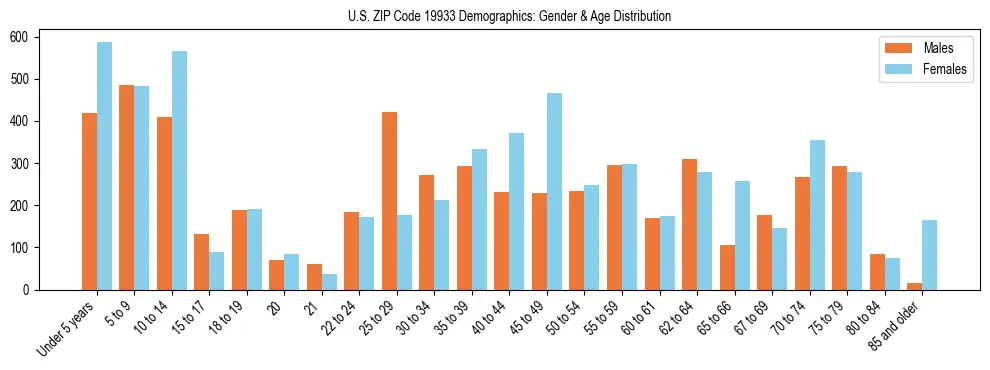 Bar chart showing the population distribution of US ZIP Code 19933 by age group and gender, based on 2023 ACS data.