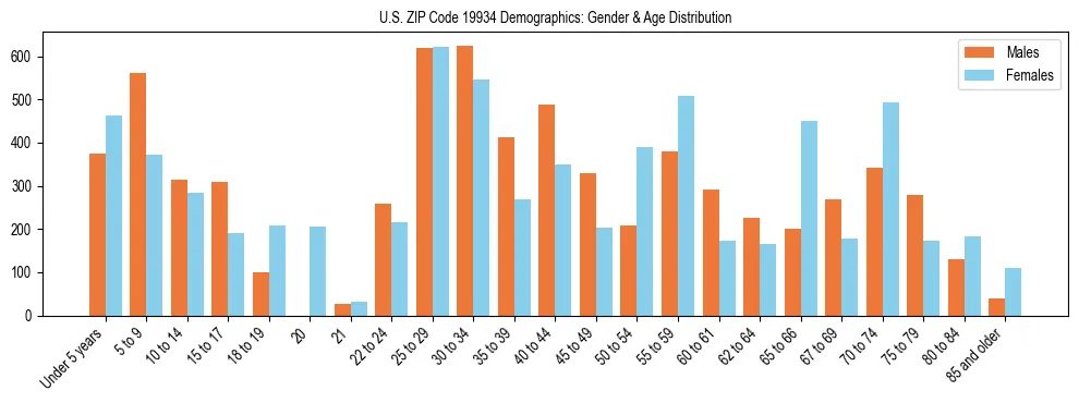 Bar chart showing the population distribution of US ZIP Code 19934 by age group and gender, based on 2023 ACS data.