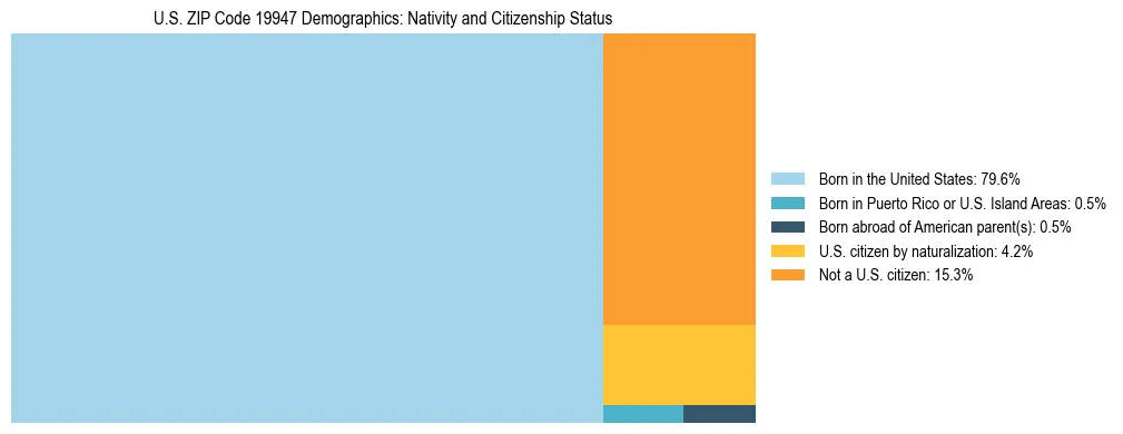 Treemap showing the population distribution by nativity and citizenship status in US ZIP Code 19947 based on U.S. Census data.