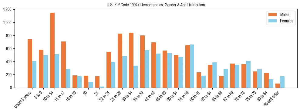 Bar chart showing the population distribution of US ZIP Code 19947 by age group and gender, based on 2023 ACS data.