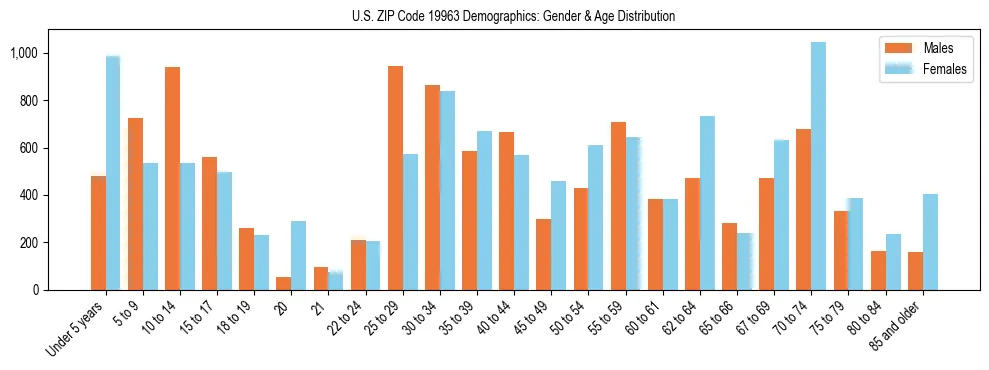 Bar chart showing the population distribution of US ZIP Code 19963 by age group and gender, based on 2023 ACS data.