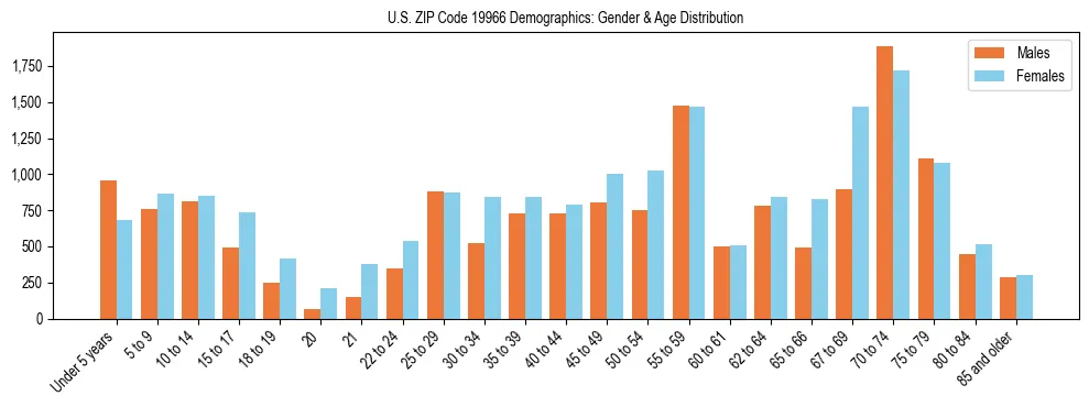 Bar chart showing the population distribution of US ZIP Code 19966 by age group and gender, based on 2023 ACS data.