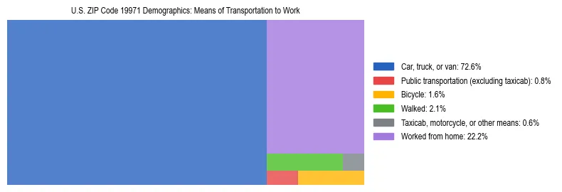 Treemap showing means of transportation to work distribution in US ZIP Code 19971.