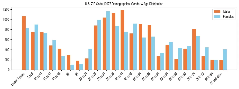 Bar chart showing the population distribution of US ZIP Code 19977 by age group and gender, based on 2023 ACS data.