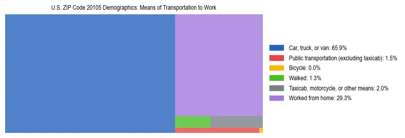 Treemap showing means of transportation to work distribution in US ZIP Code 20105.