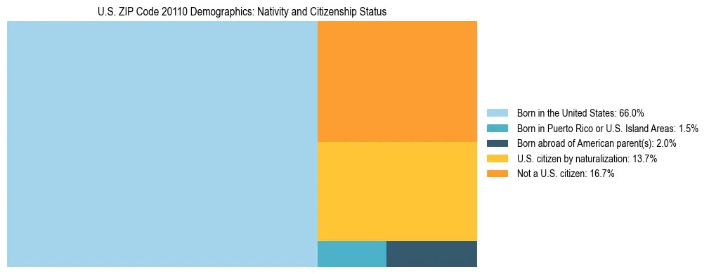 Treemap showing the population distribution by nativity and citizenship status in US ZIP Code 20110 based on U.S. Census data.