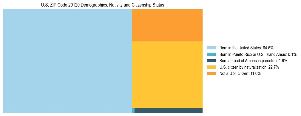 Treemap showing the population distribution by nativity and citizenship status in US ZIP Code 20120 based on U.S. Census data.