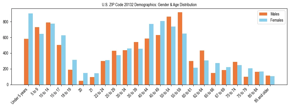 Bar chart showing the population distribution of US ZIP Code 20132 by age group and gender, based on 2023 ACS data.
