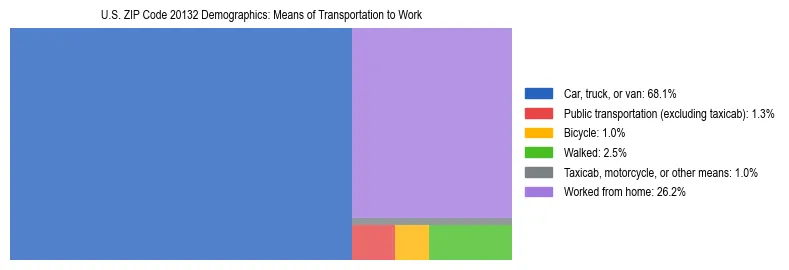 Treemap showing means of transportation to work distribution in US ZIP Code 20132.