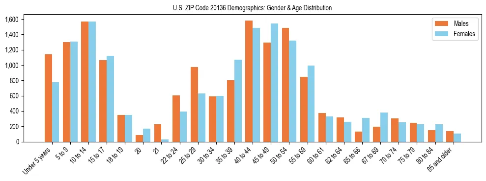 Bar chart showing the population distribution of US ZIP Code 20136 by age group and gender, based on 2023 ACS data.