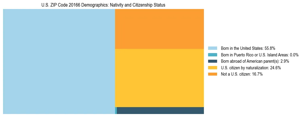 Treemap showing the population distribution by nativity and citizenship status in US ZIP Code 20166 based on U.S. Census data.