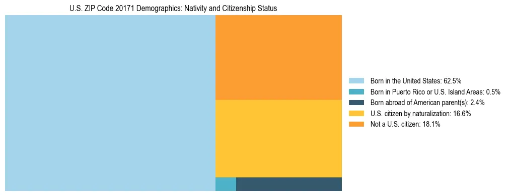 Treemap showing the population distribution by nativity and citizenship status in US ZIP Code 20171 based on U.S. Census data.