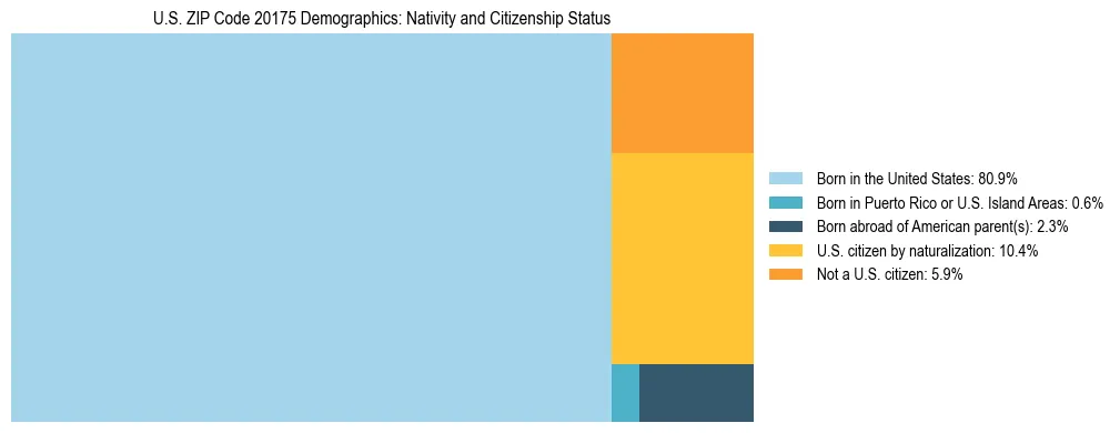 Treemap showing the population distribution by nativity and citizenship status in US ZIP Code 20175 based on U.S. Census data.
