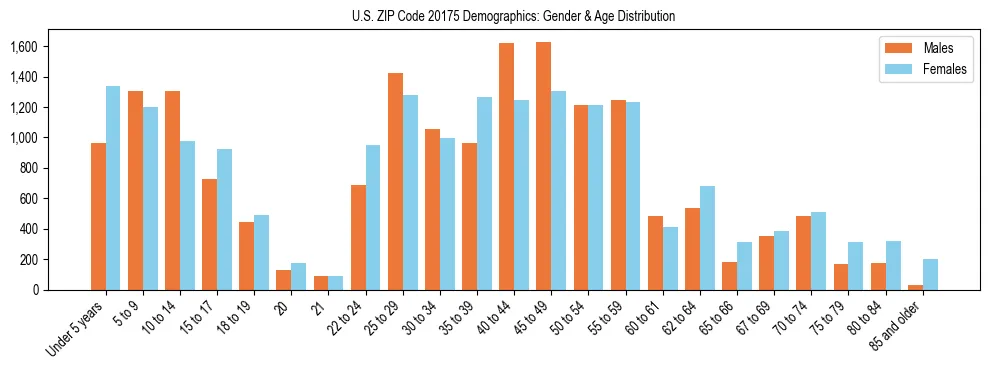 Bar chart showing the population distribution of US ZIP Code 20175 by age group and gender, based on 2023 ACS data.