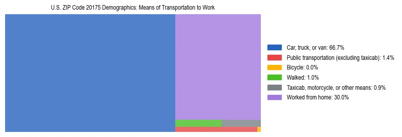 Treemap showing means of transportation to work distribution in US ZIP Code 20175.