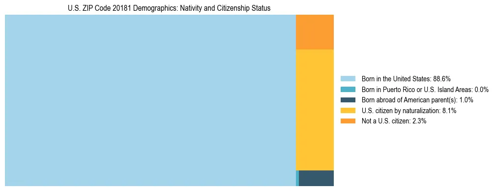 Treemap showing the population distribution by nativity and citizenship status in US ZIP Code 20181 based on U.S. Census data.