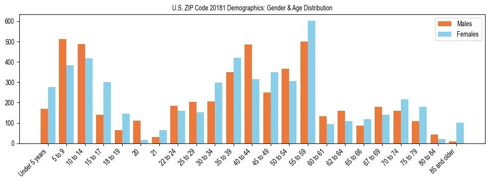 Bar chart showing the population distribution of US ZIP Code 20181 by age group and gender, based on 2023 ACS data.