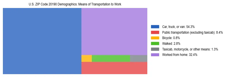 Treemap showing means of transportation to work distribution in US ZIP Code 20190.
