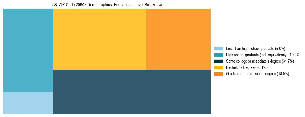 Treemap chart illustrating the educational attainment breakdown for population 25 years and over in US ZIP Code 20607.