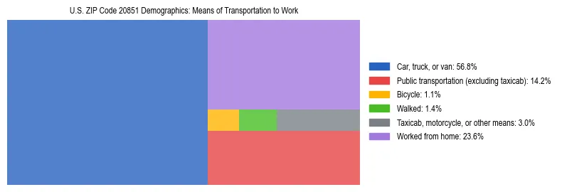 Treemap showing means of transportation to work distribution in US ZIP Code 20851.