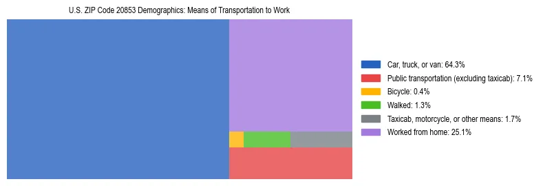 Treemap showing means of transportation to work distribution in US ZIP Code 20853.