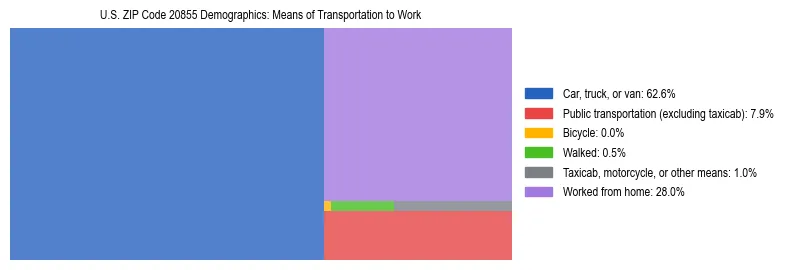 Treemap showing means of transportation to work distribution in US ZIP Code 20855.