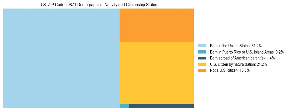 Treemap showing the population distribution by nativity and citizenship status in US ZIP Code 20871 based on U.S. Census data.