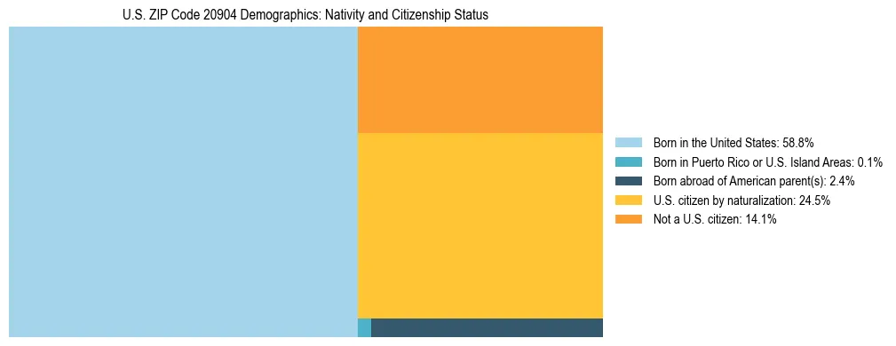 Treemap showing the population distribution by nativity and citizenship status in US ZIP Code 20904 based on U.S. Census data.