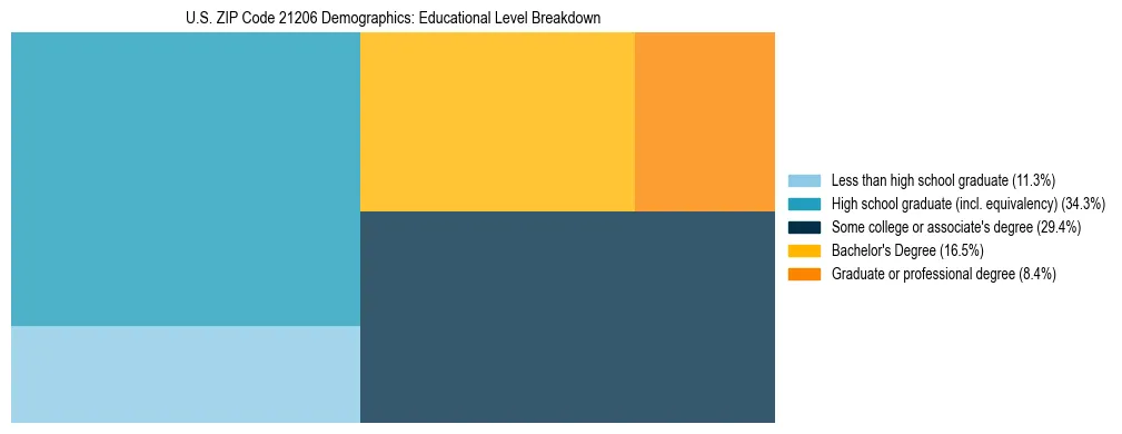 Treemap chart illustrating the educational attainment breakdown for population 25 years and over in US ZIP Code 21206.