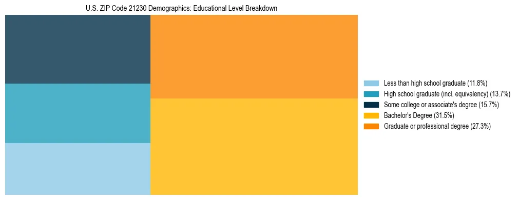 Treemap chart illustrating the educational attainment breakdown for population 25 years and over in US ZIP Code 21230.