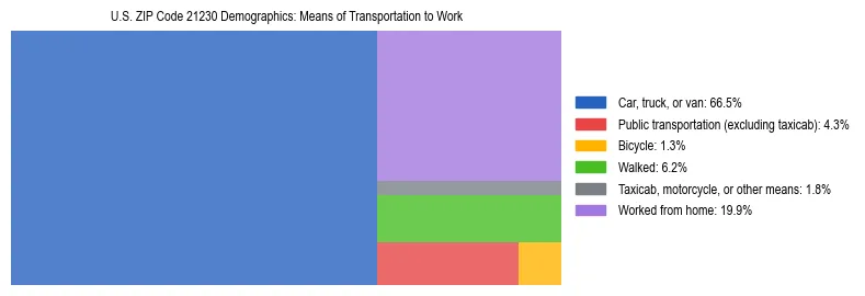 Treemap showing means of transportation to work distribution in US ZIP Code 21230.