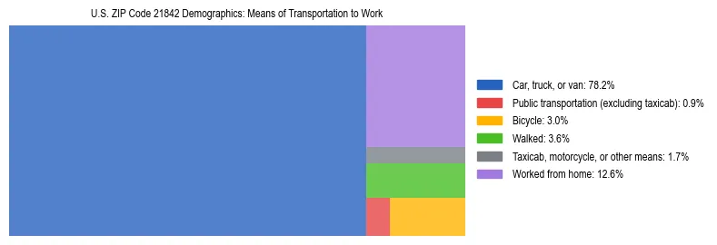 Treemap showing means of transportation to work distribution in US ZIP Code 21842.