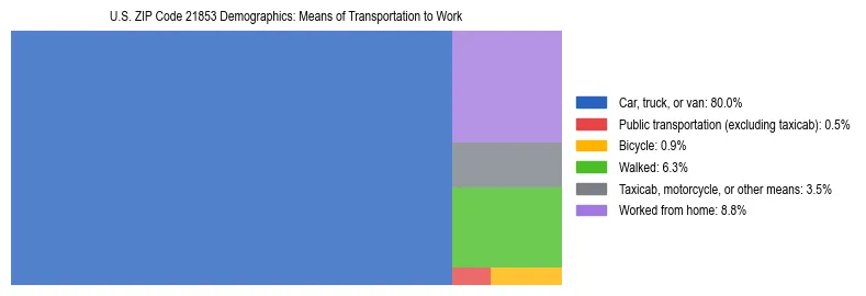 Treemap showing means of transportation to work distribution in US ZIP Code 21853.