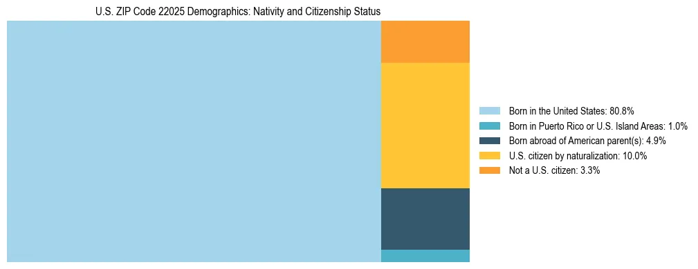 Treemap showing the population distribution by nativity and citizenship status in US ZIP Code 22025 based on U.S. Census data.